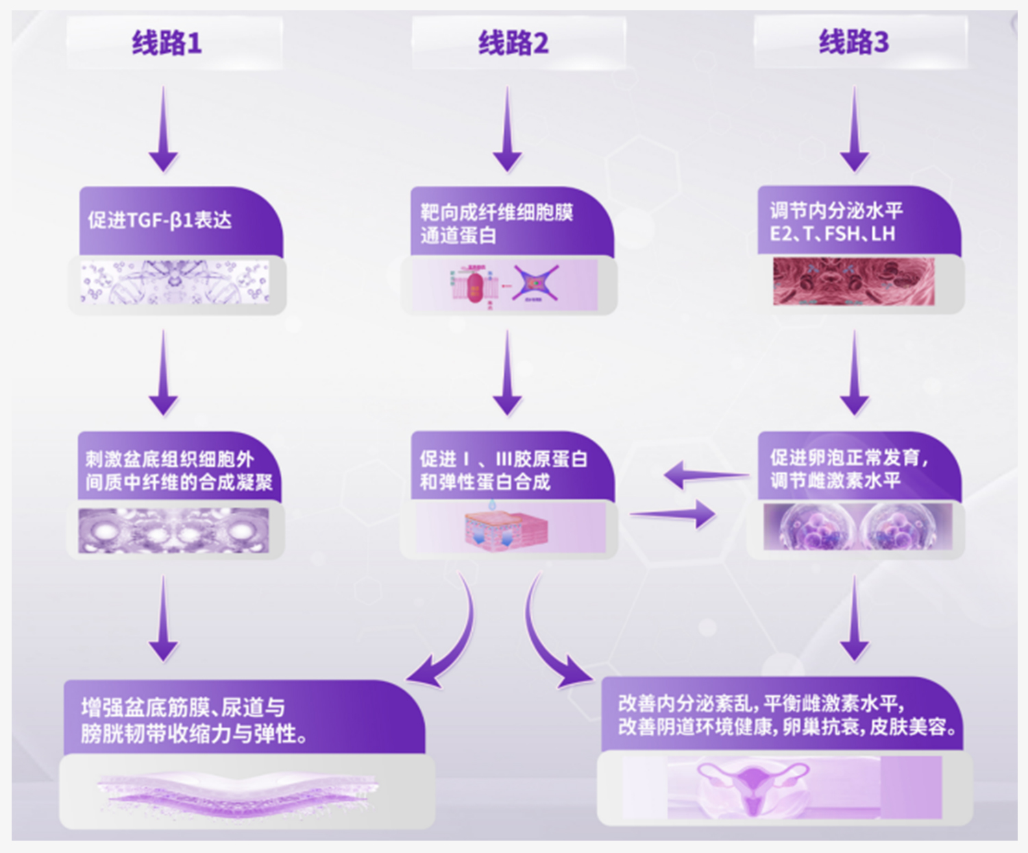Pelvic floor muscle repair (7) Pelvic floor muscle repair (7)