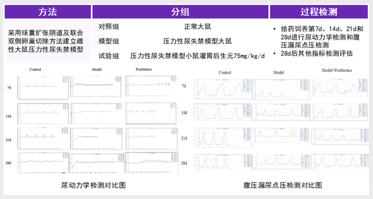 Pelvic floor muscle repair (9) Pelvic floor muscle repair (9)