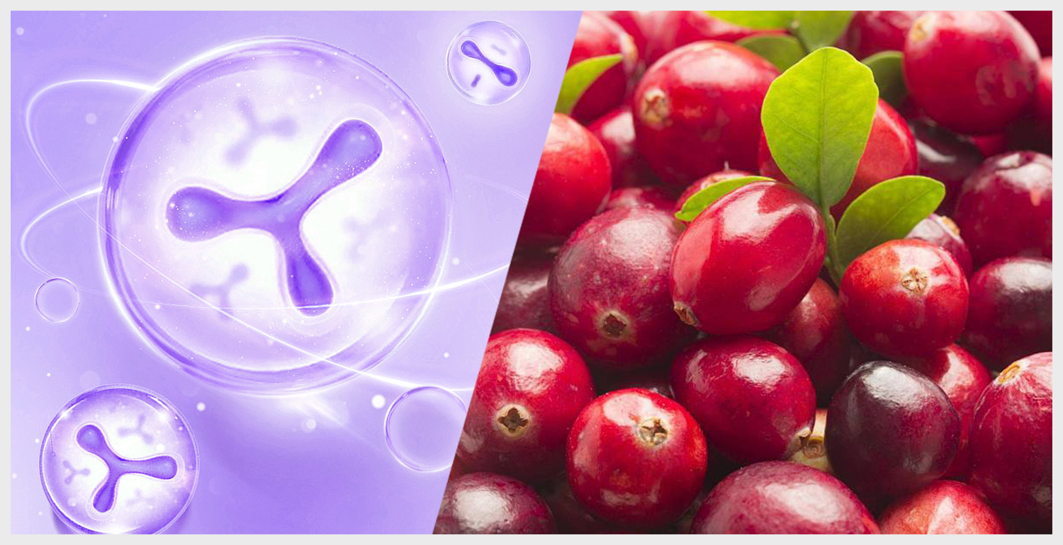 Pelvic floor muscle repair (8) Pelvic floor muscle repair (8)