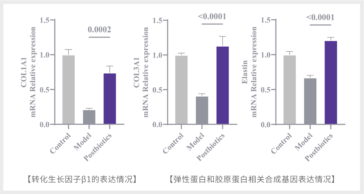 Pelvic floor muscle repair (10) Pelvic floor muscle repair (10)